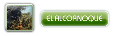  El Alcornoque